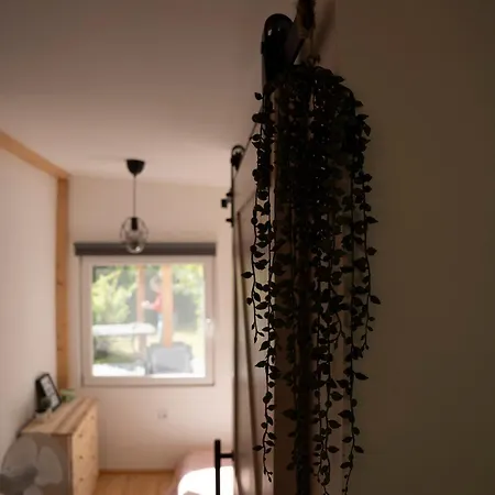 Rozi's Vacation In Feriehus *