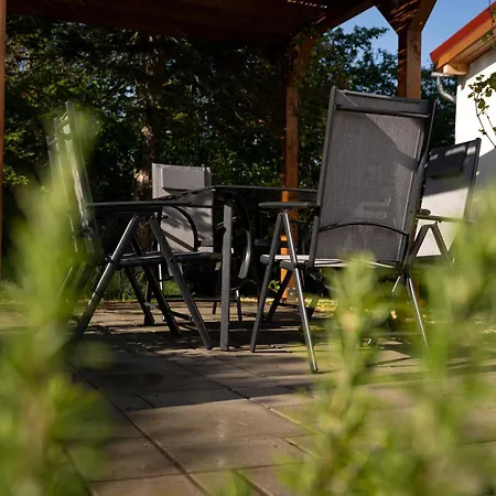 Rozi's Vacation In Budakalász