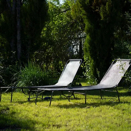 Rozi's Vacation In * Budakalász